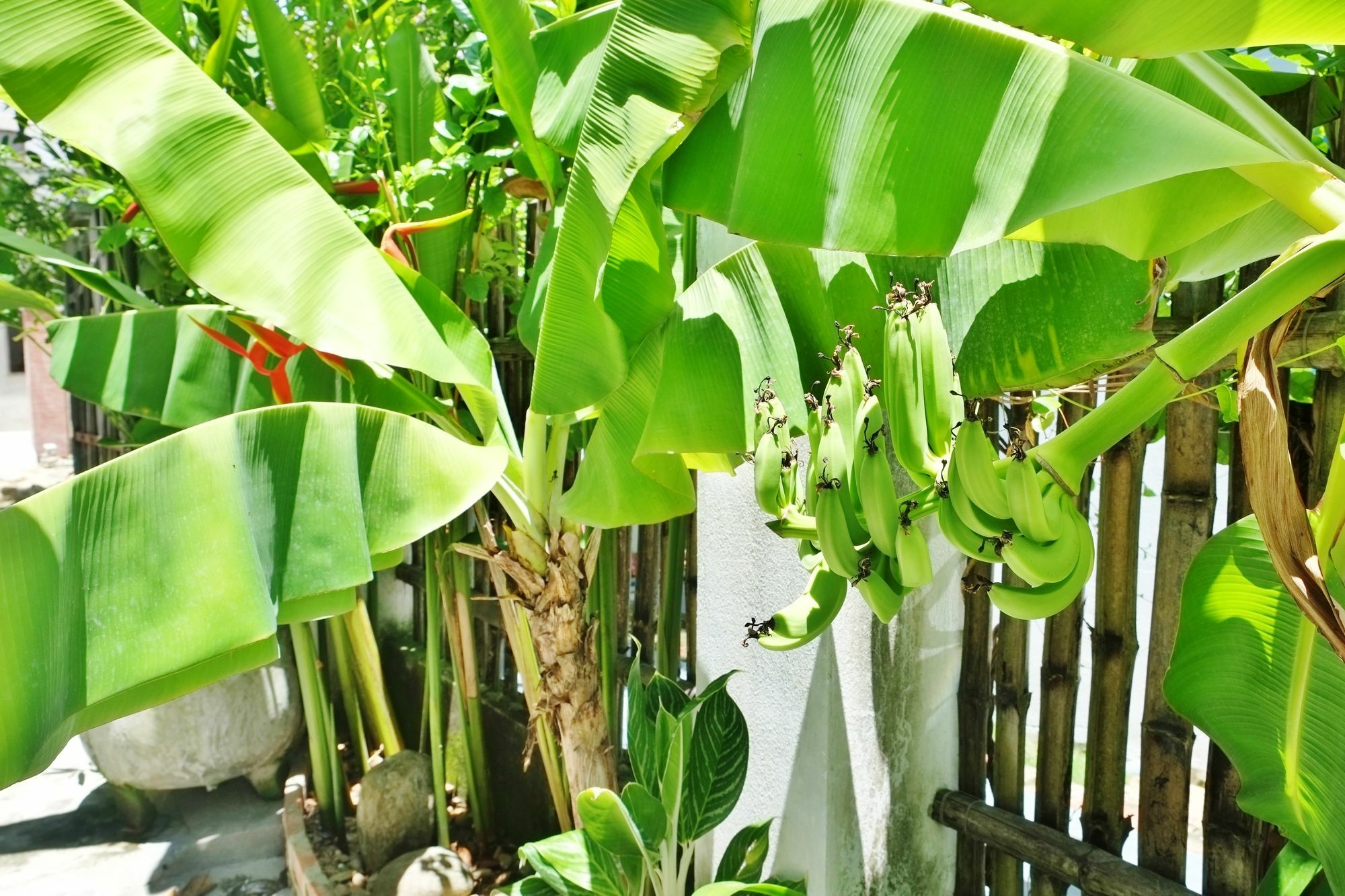 An Bang Beach Holidays Hoi An Esterno foto